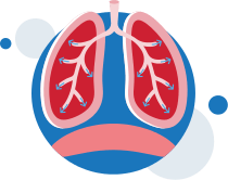 ventilation-normal-breathing-lungs-illustration